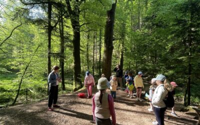 Une journée en forêt pour apprendre, bouger et s’émerveiller